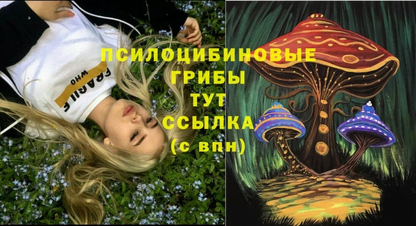 PSILOCYBIN Балабаново